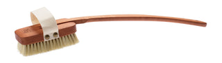 Nippes H4 Brush