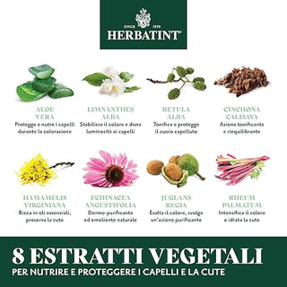 herbatint-h-c-4n-chestnut