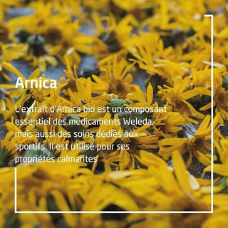weleda-arnica-massage-oil-100ml