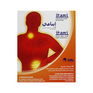 Itami 140Mg 10 Plasters (10Cm X 14Cm)