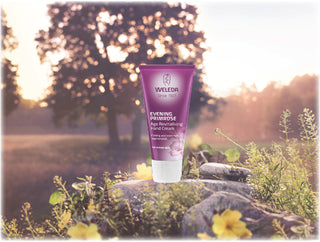 weleda-evening-primrose-age-rev-hand-cream-50ml