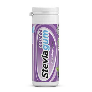 Ginjer Steviagum Senses Blueberry 30G