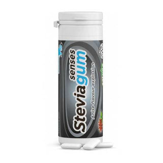 Ginjer Steviagum Anise 30G