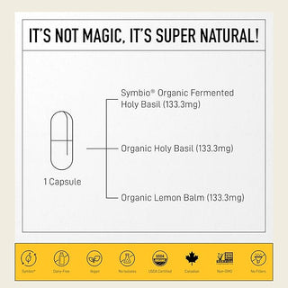 living-alchemy-holy-basil-alive-caps-60-s