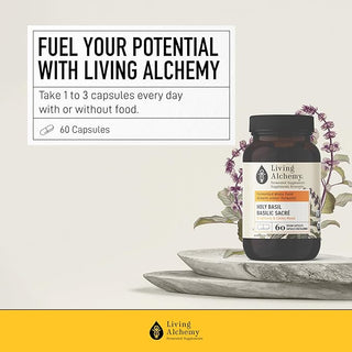 living-alchemy-holy-basil-alive-caps-60-s