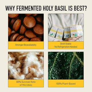 living-alchemy-holy-basil-alive-caps-60-s