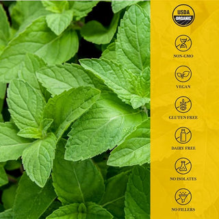 living-alchemy-your-flora-sensitive-caps-60-s