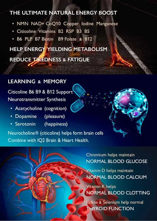 biotech-life-energise-x-brain-powder-30g