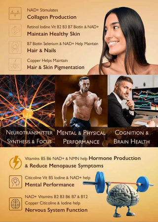 biotech-life-energise-x-brain-powder-30g