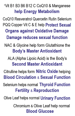 biotech-life-mens-health-pro-vitality-1-30s