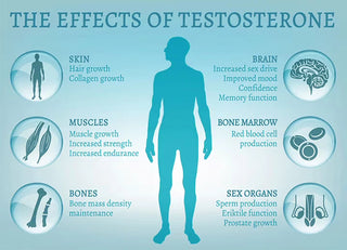 biotech-life-mens-health-pro-vitality-2-30s