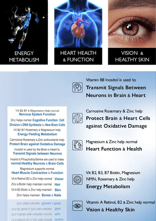 biotech-life-iq2-brain-heart-health-30s