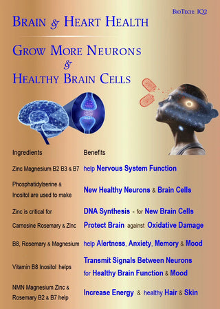 biotech-life-iq2-brain-heart-health-30s
